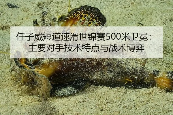 任子威短道速滑世锦赛500米卫冕：主要对手技术特点与战术博弈