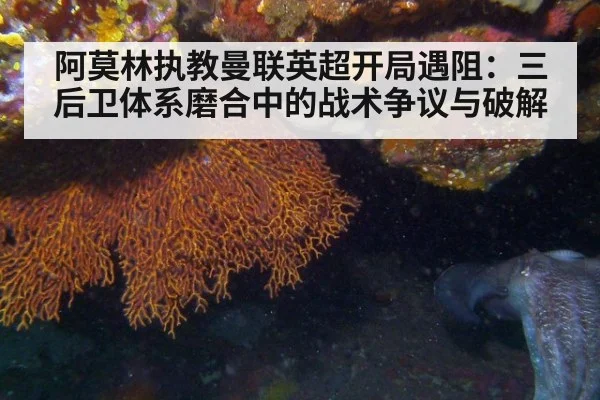 阿莫林执教曼联英超开局遇阻：三后卫体系磨合中的战术争议与破解